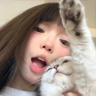 南极料理人